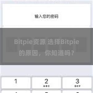 Bitpie资源 选择Bitpie的原因，你知道吗？