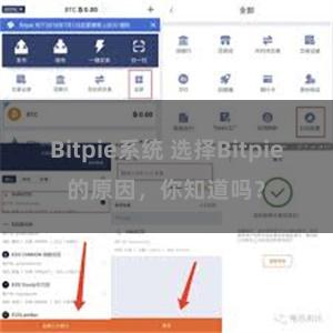 Bitpie系统 选择Bitpie的原因，你知道吗？