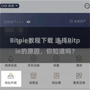 Bitpie教程下载 选择Bitpie的原因，你知道吗？