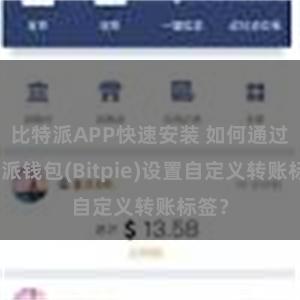 比特派APP快速安装 如何通过比特派钱包(Bitpie)设置自定义转账标签？