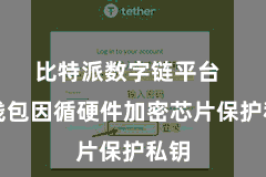 比特派数字链平台  该钱包因循硬件加密芯片保护私钥