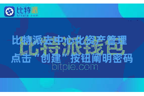 比特派去中心化资产管理  点击“创建”按钮阐明密码
