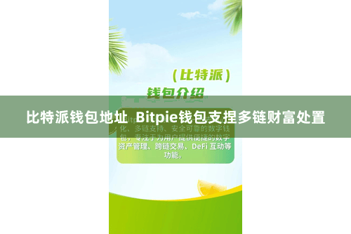 比特派钱包地址 Bitpie钱包支捏多链财富处置